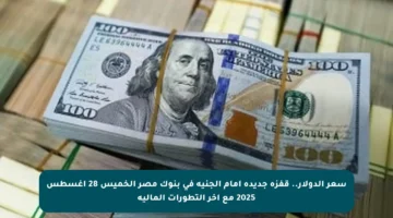 سعر الدولار.. قفزة جديدة أمام الجنيه في بنوك مصر الخميس 28 أغسطس 2025 مع آخر التطورات المالية